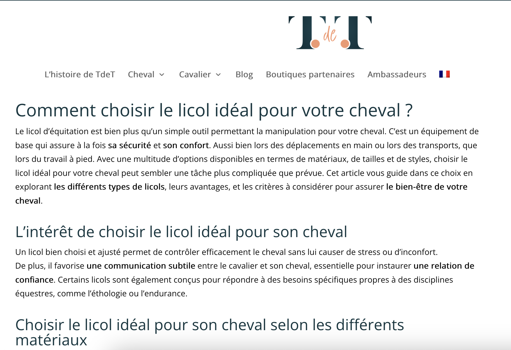 Rédaction d'un article de blog sur la nécessité pour la sécurité du cheval et du cavalier d'avoir un bon licol d'équitation